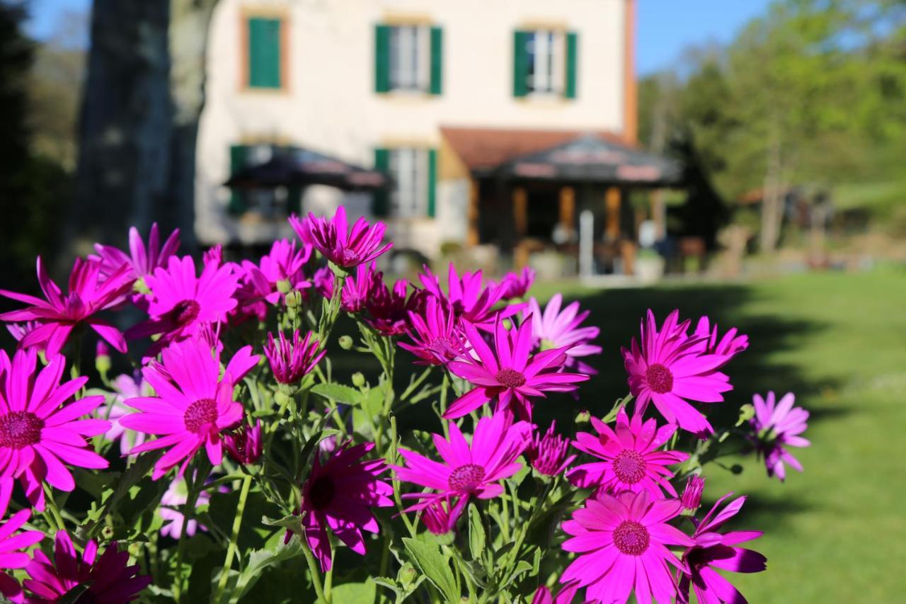 Le Bonnet De Nuit Bed & Breakfast Chalmoux Dış mekan fotoğraf